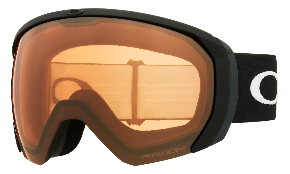 Flight Path L Snow Goggle