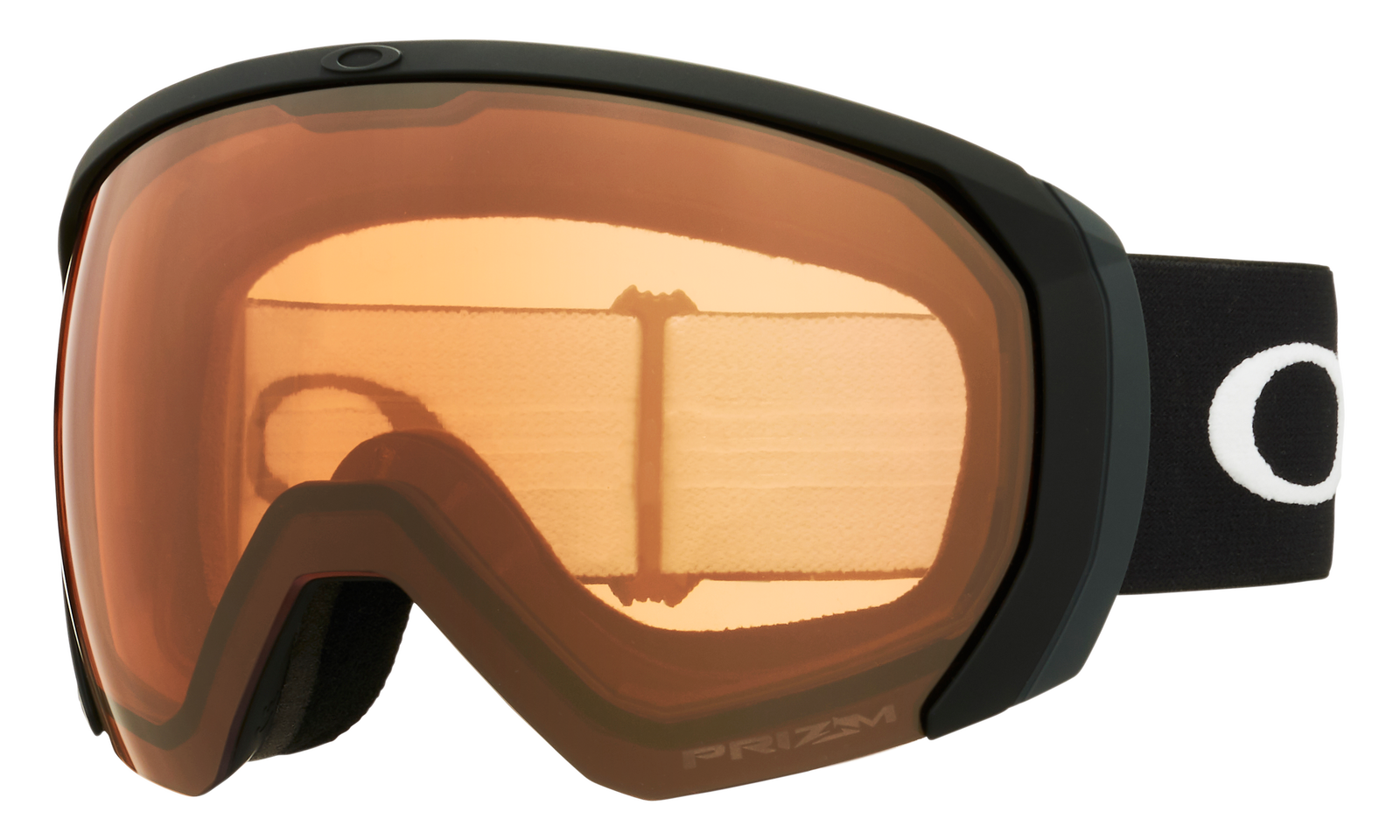 Flight Path L Snow Goggle
