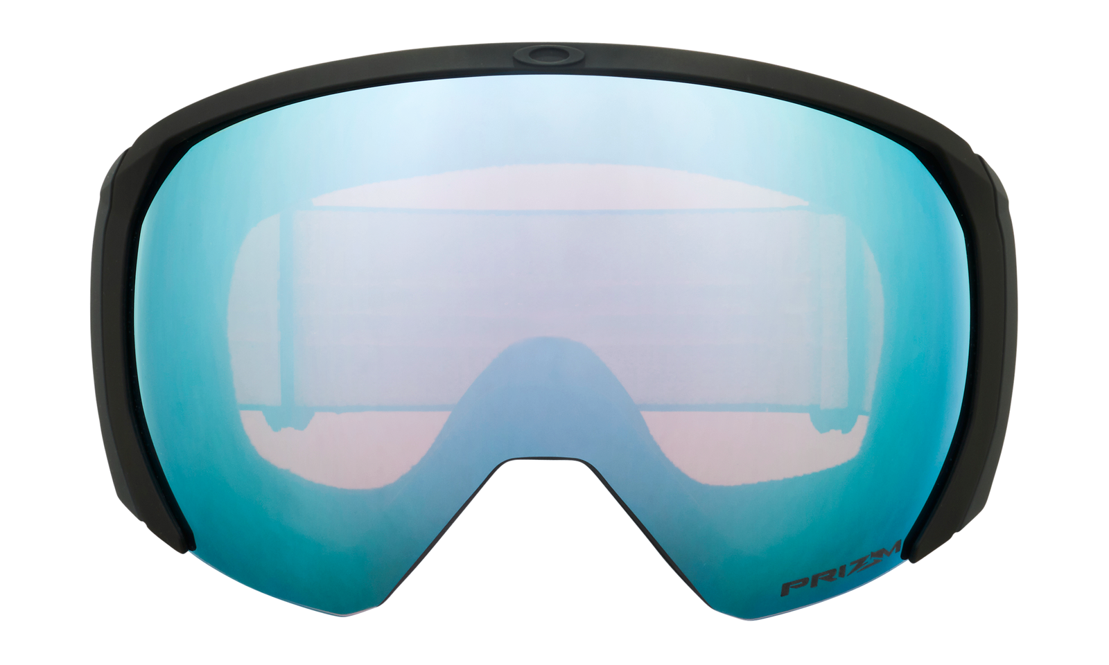 Flight Path L Snow Goggle