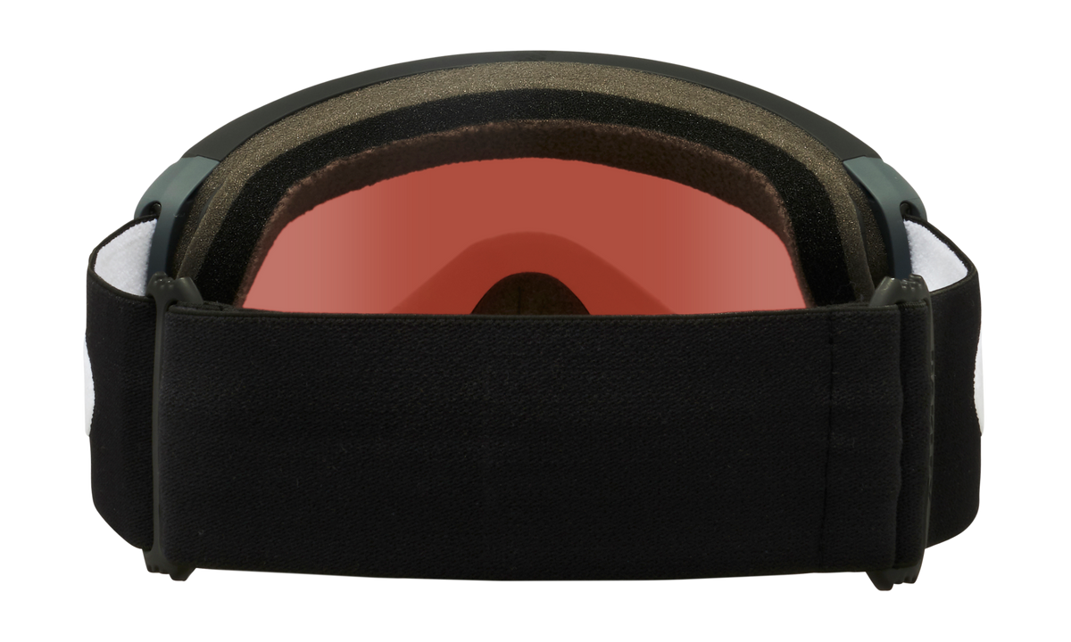 Flight Path L Snow Goggle