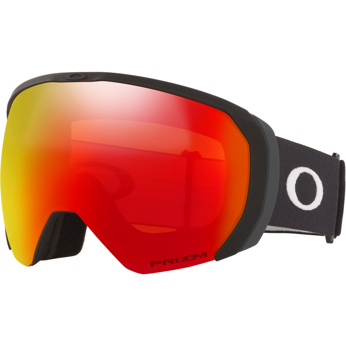 Flight Path L Snow Goggle