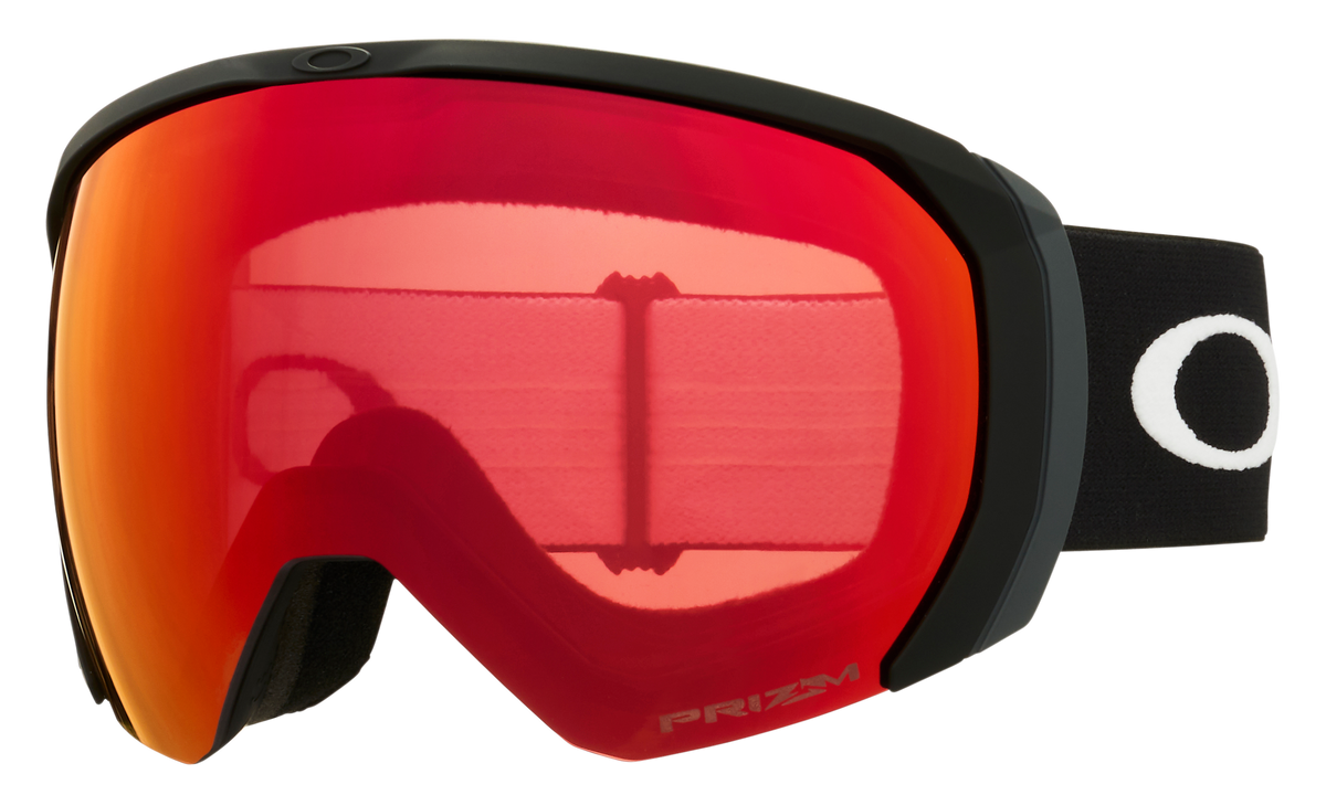 Flight Path L Snow Goggle