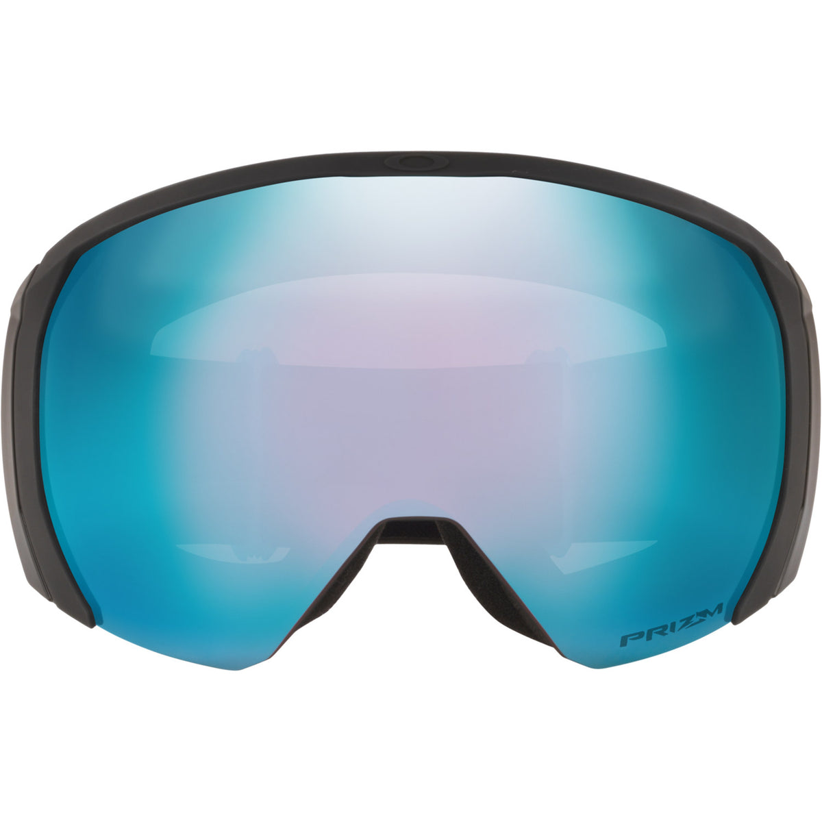 Flight Path L Snow Goggle