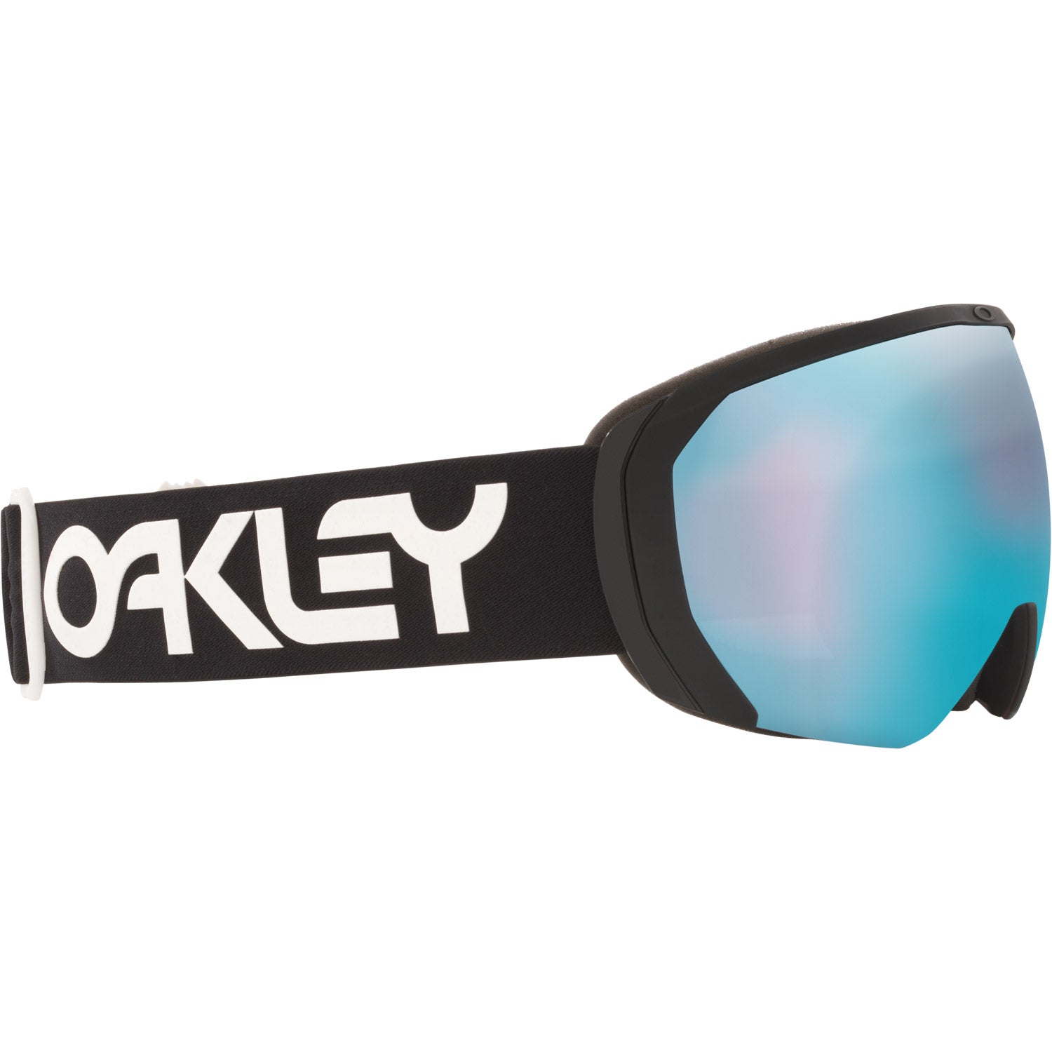 Flight Path L Snow Goggle
