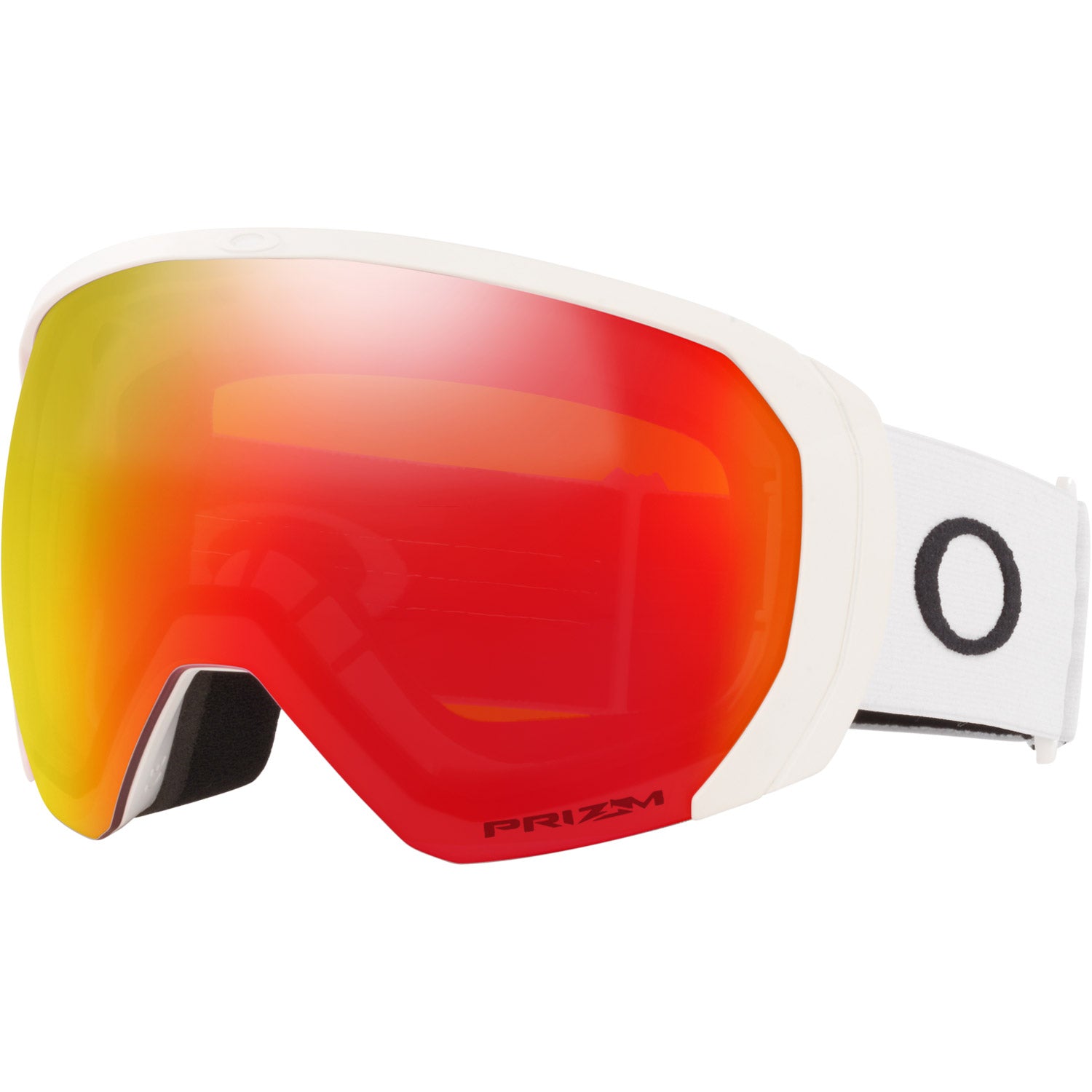 Flight Path L Snow Goggle