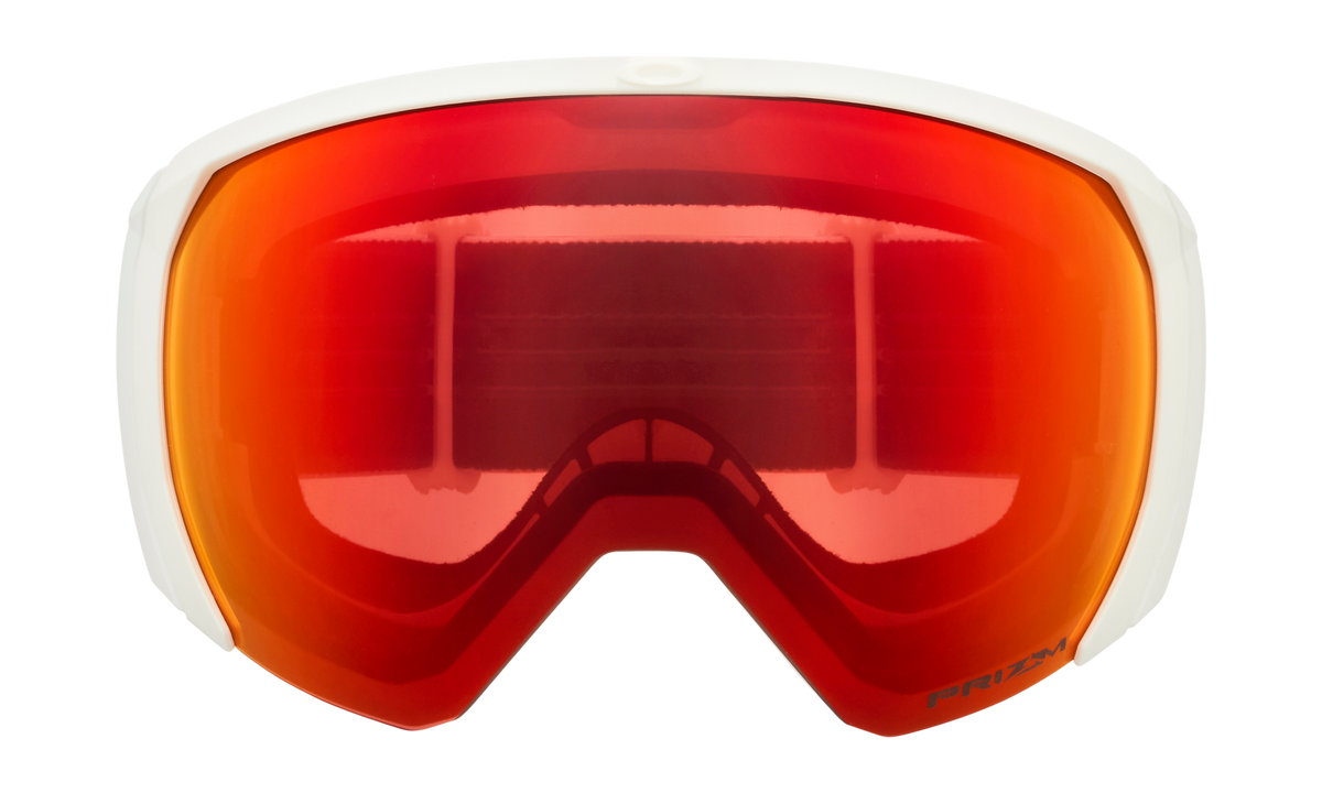 Flight Path L Snow Goggle
