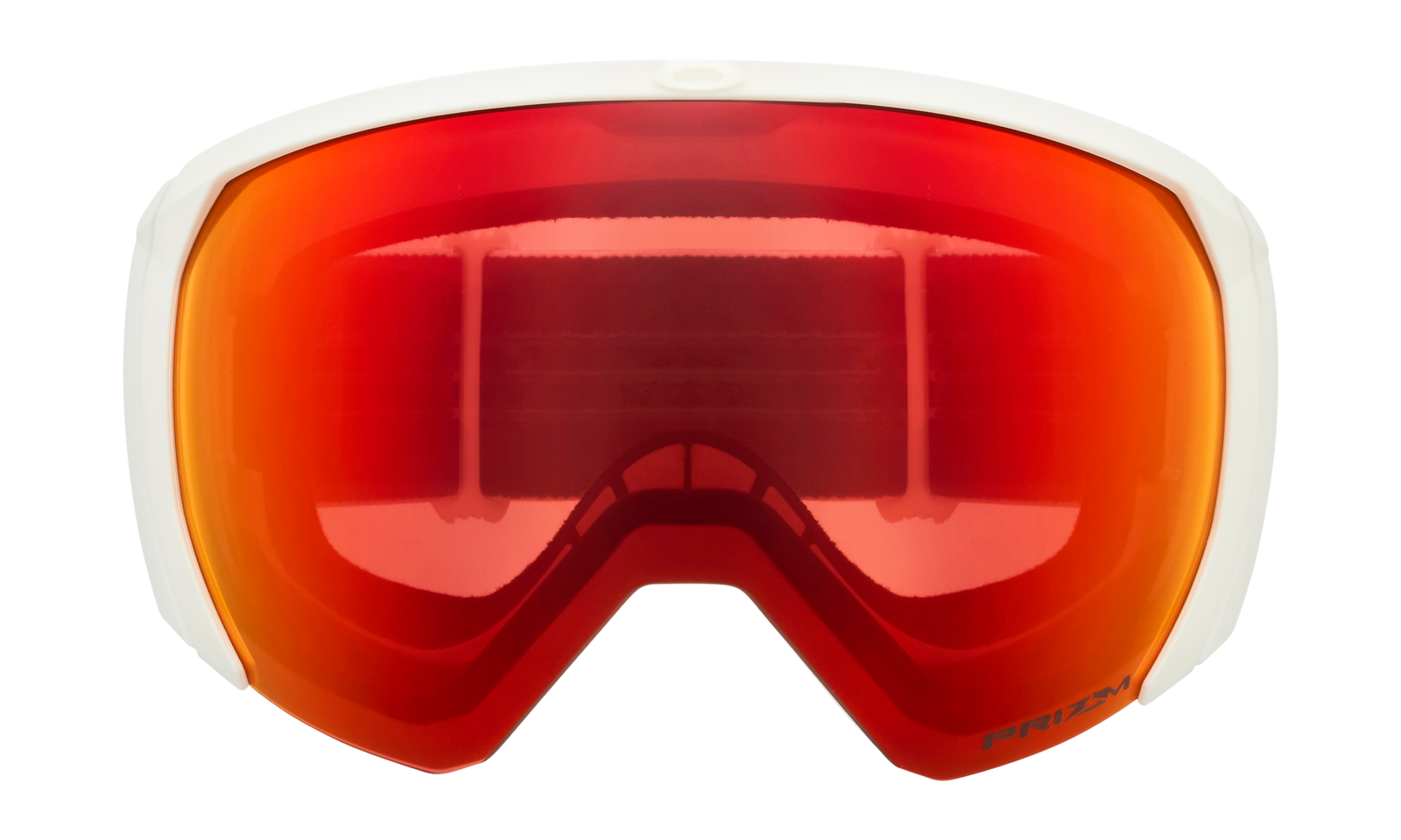 Flight Path L Snow Goggle
