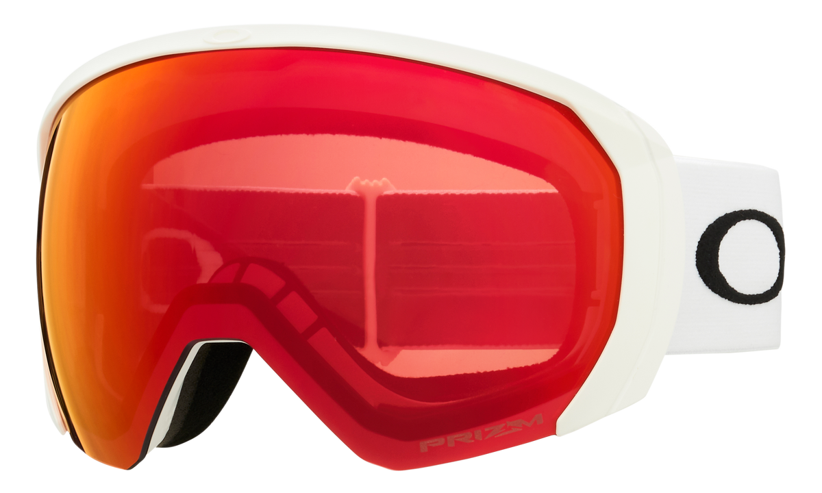 Flight Path L Snow Goggle