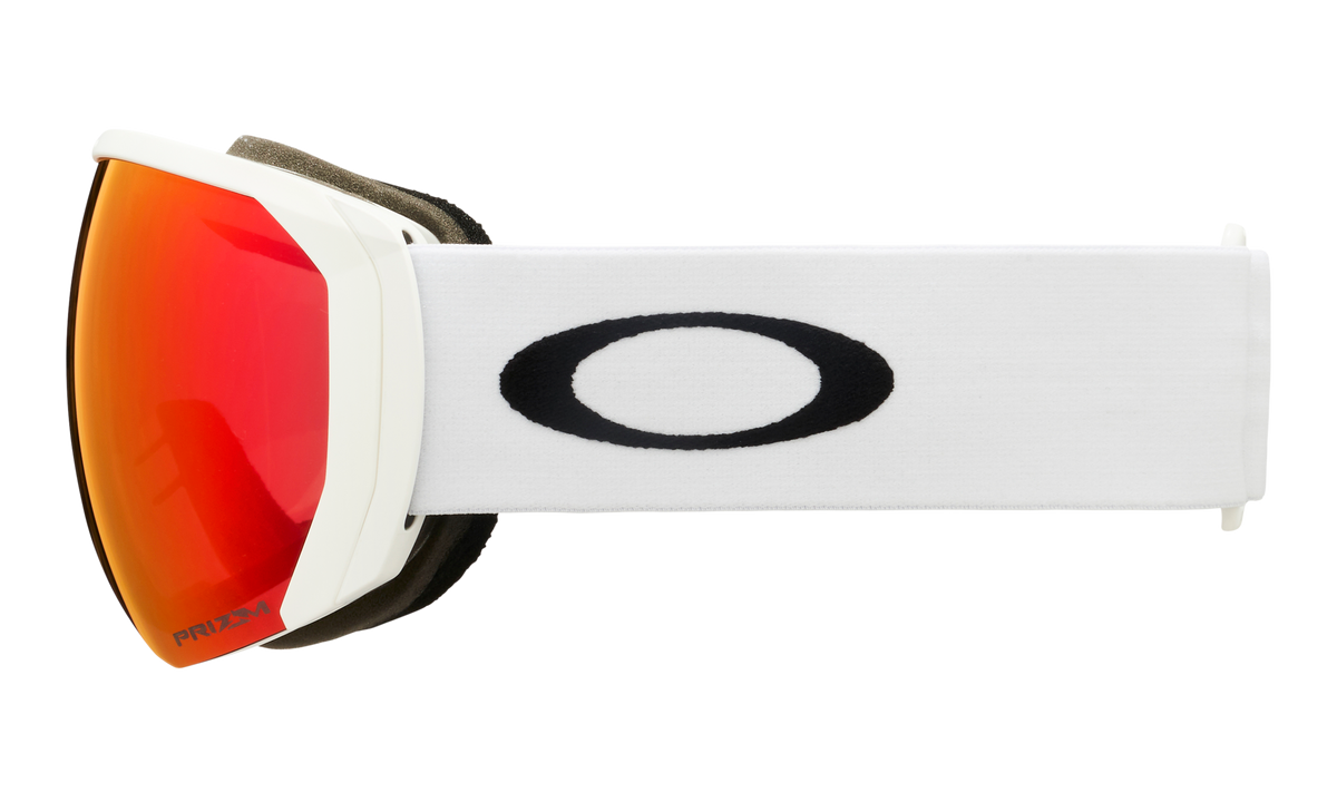 Flight Path L Snow Goggle