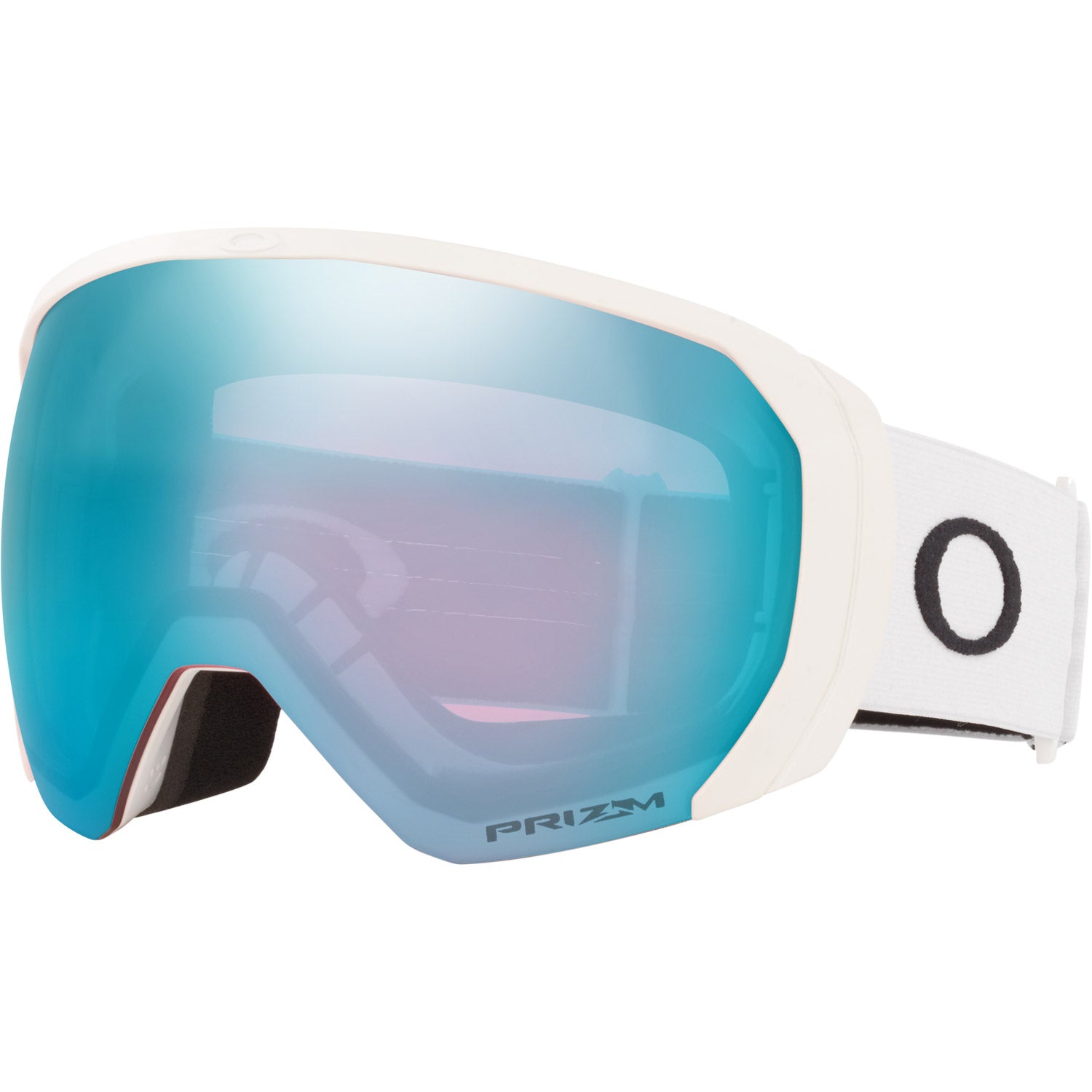 Flight Path L Snow Goggle