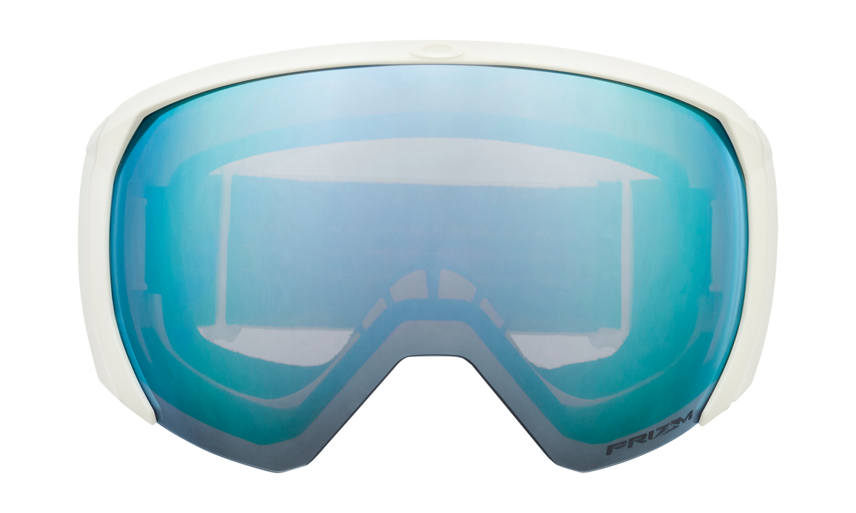 Flight Path L Snow Goggle