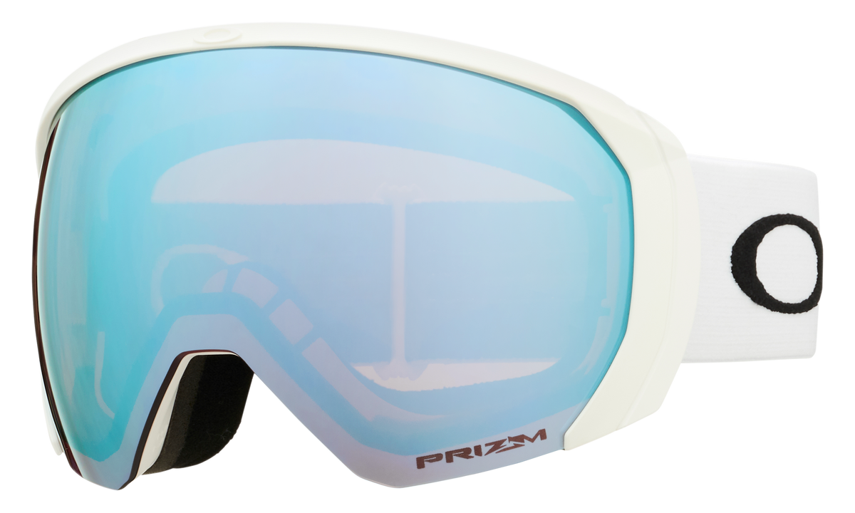 Flight Path L Snow Goggle