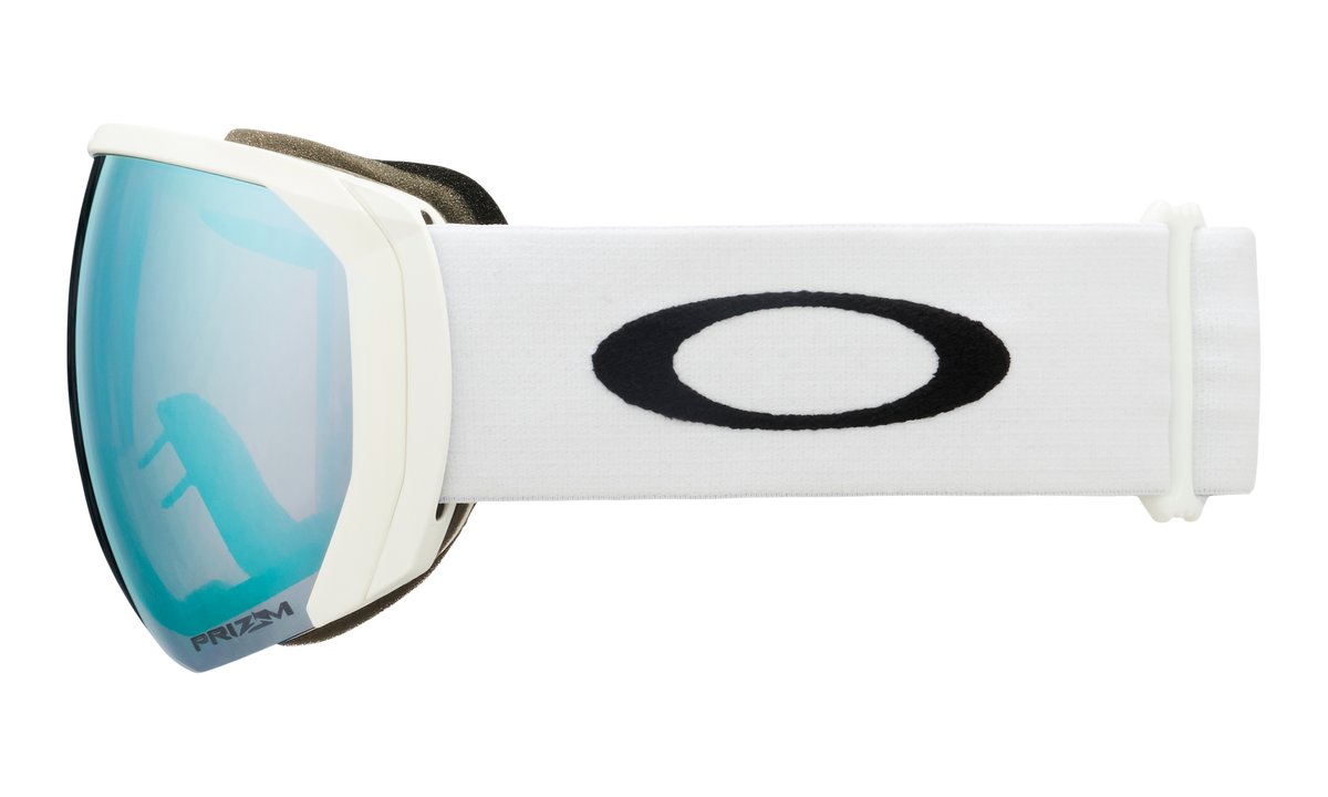 Flight Path L Snow Goggle
