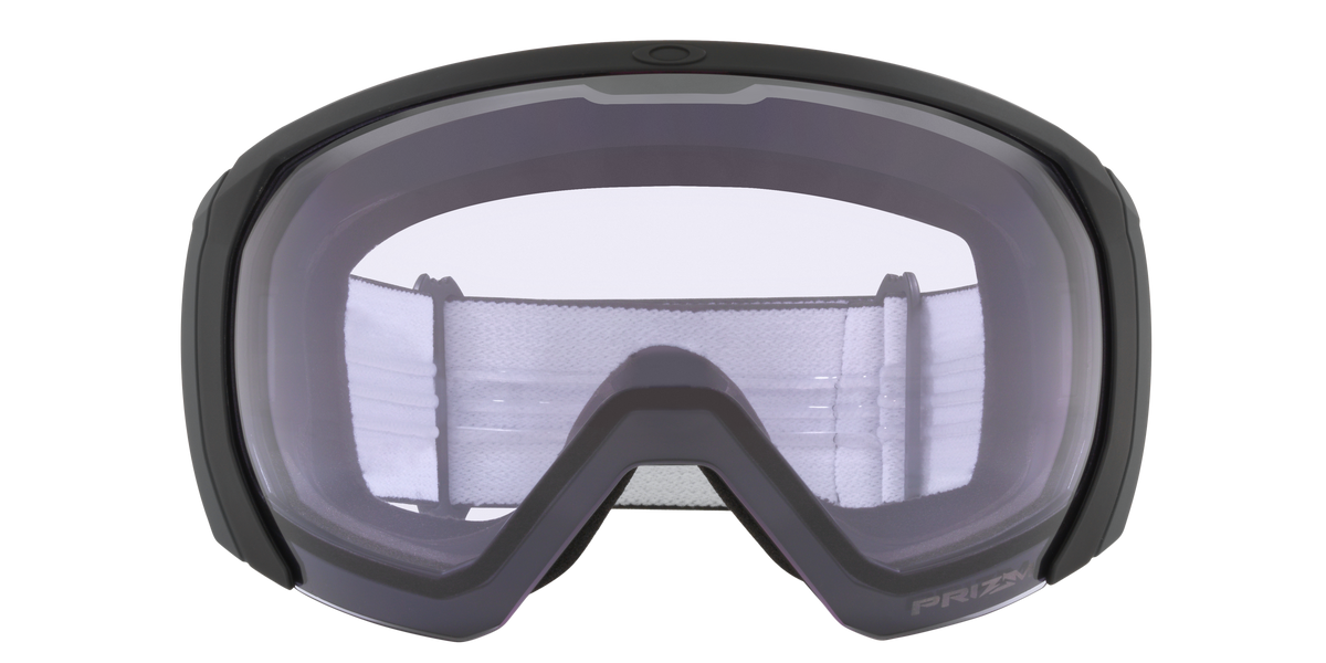 Flight Path L Snow Goggle