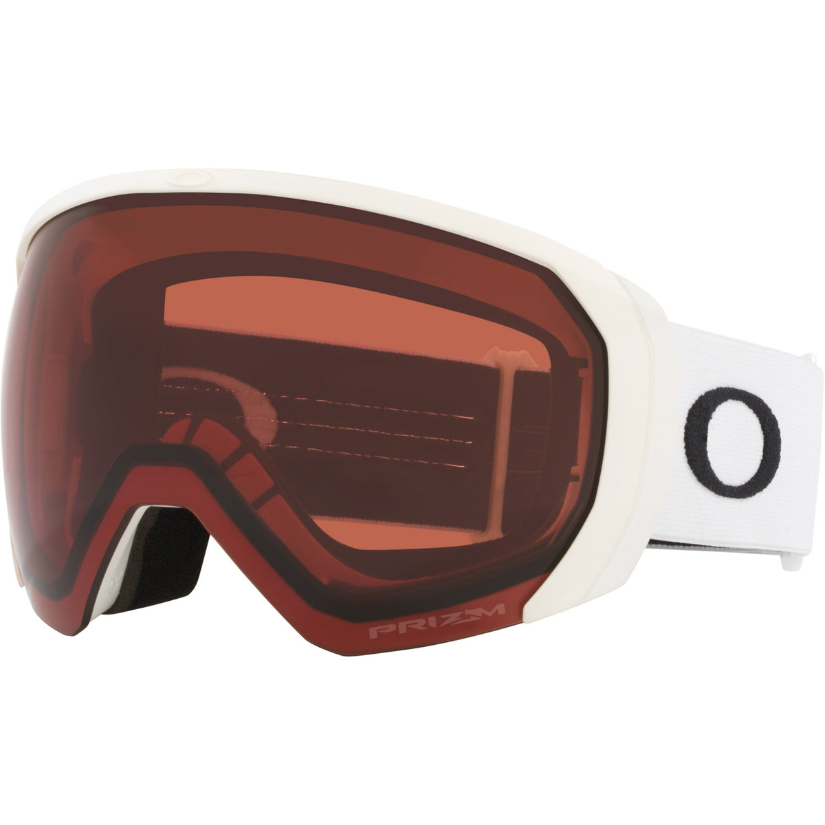 Flight Path L Snow Goggle