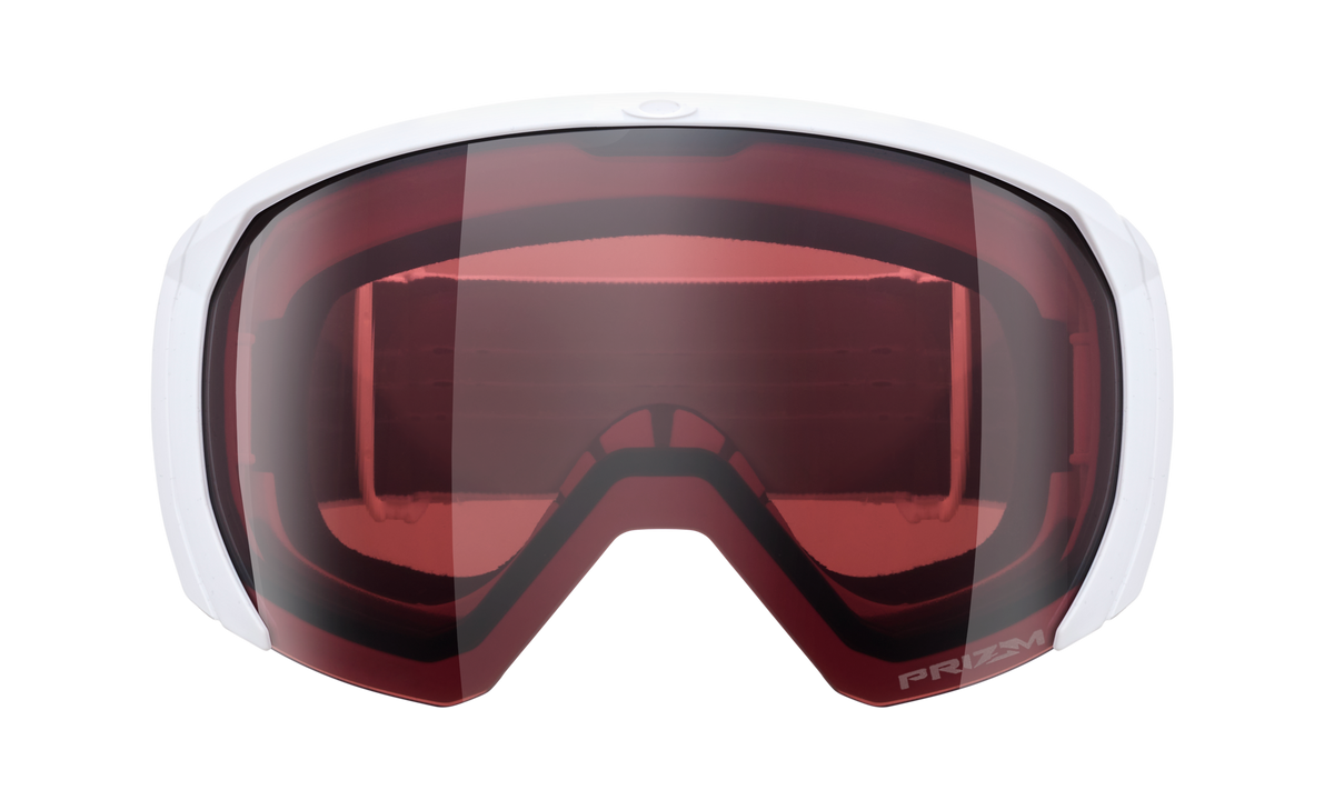 Flight Path L Snow Goggle