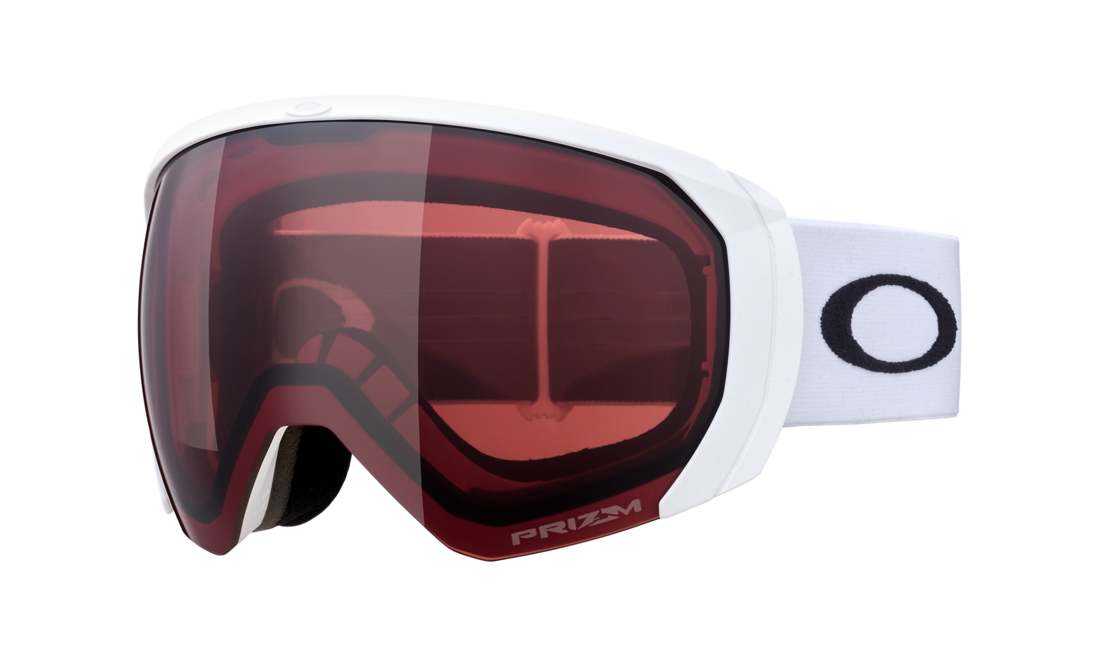Flight Path L Snow Goggle