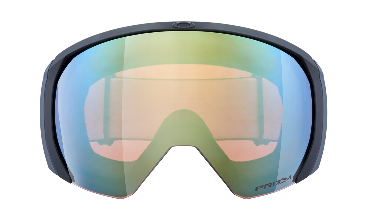 Flight Path L Snow Goggle