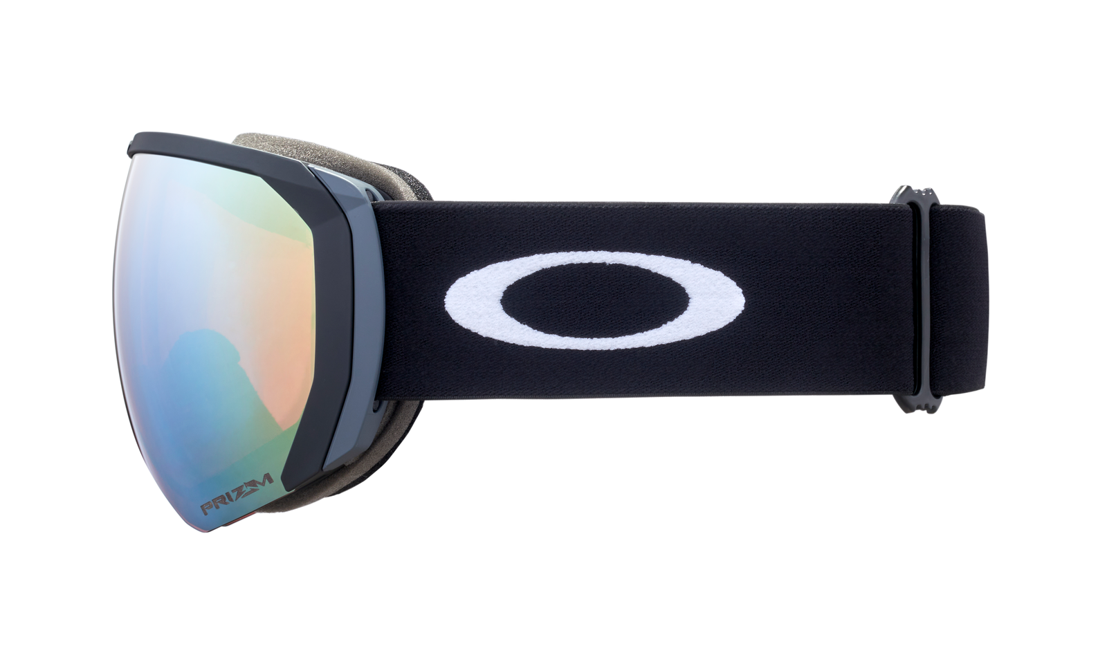Flight Path L Snow Goggle