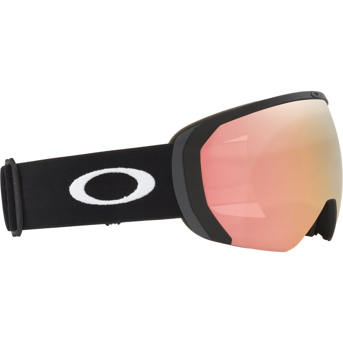 Flight Path L Snow Goggle