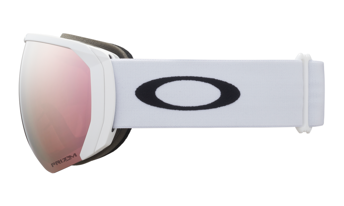 Flight Path L Snow Goggle