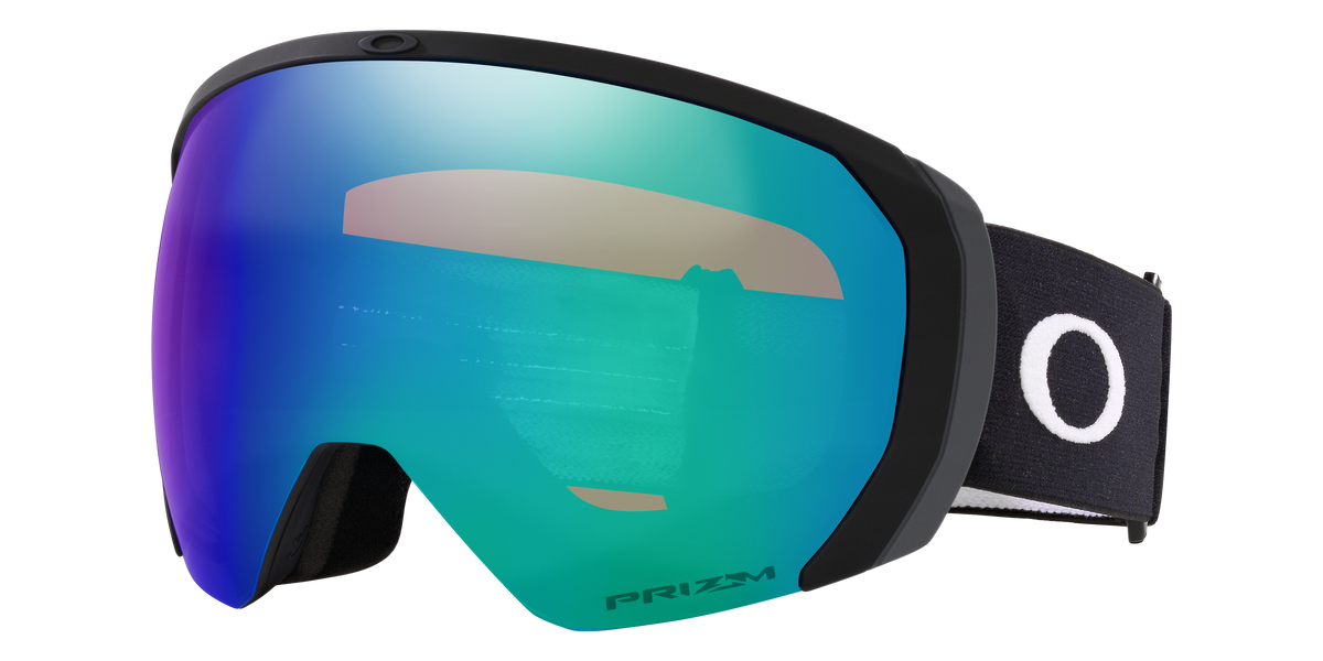 Flight Path L Snow Goggle