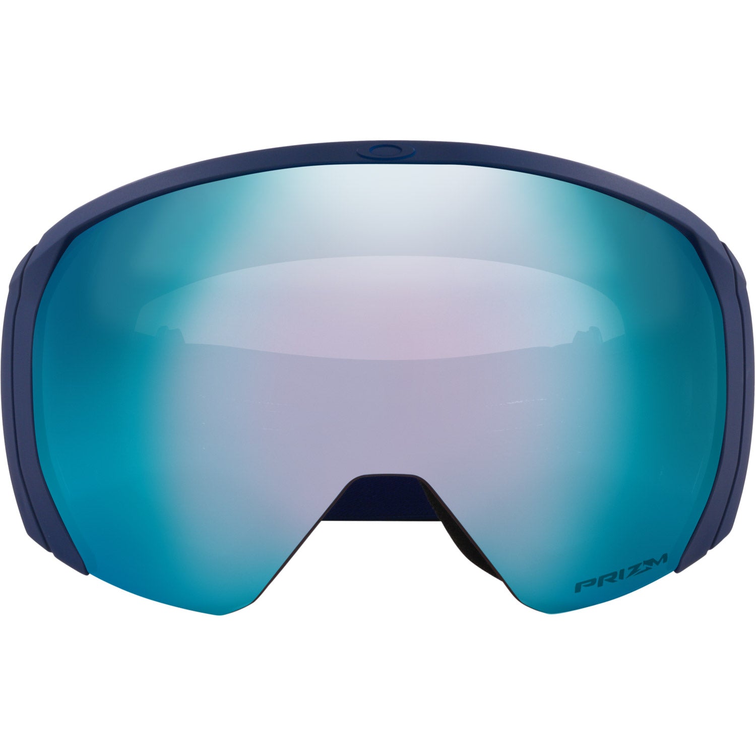 Flight Path L Snow Goggle