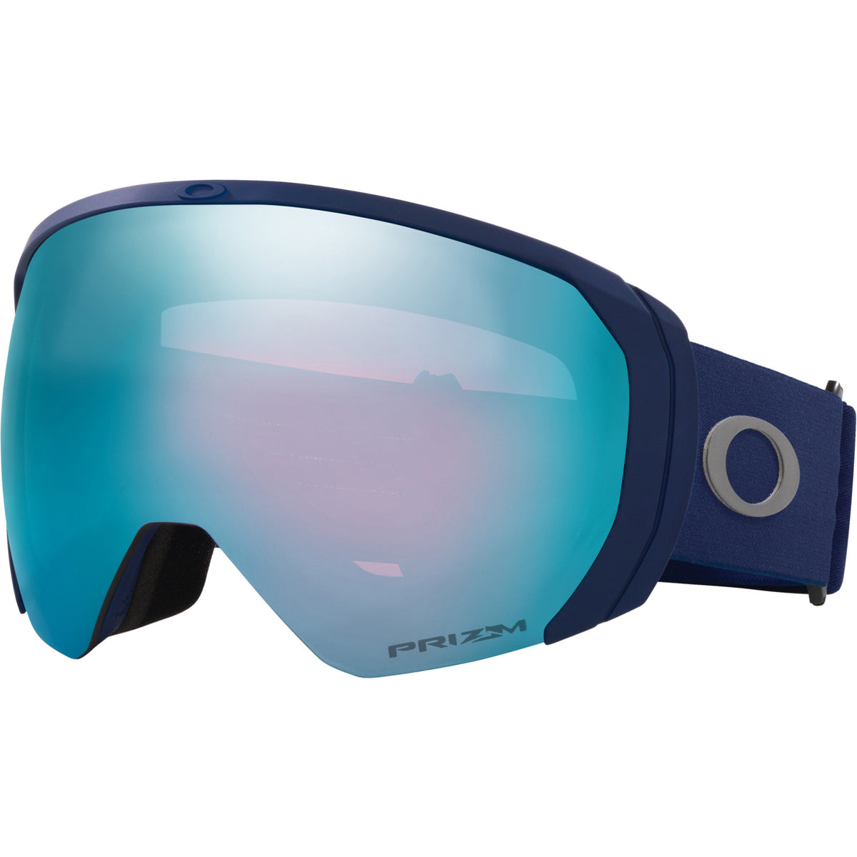 Flight Path L Snow Goggle