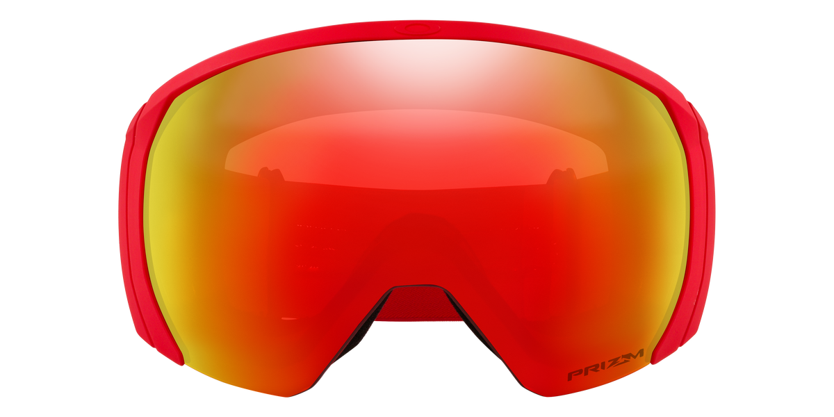 Flight Path L Snow Goggle