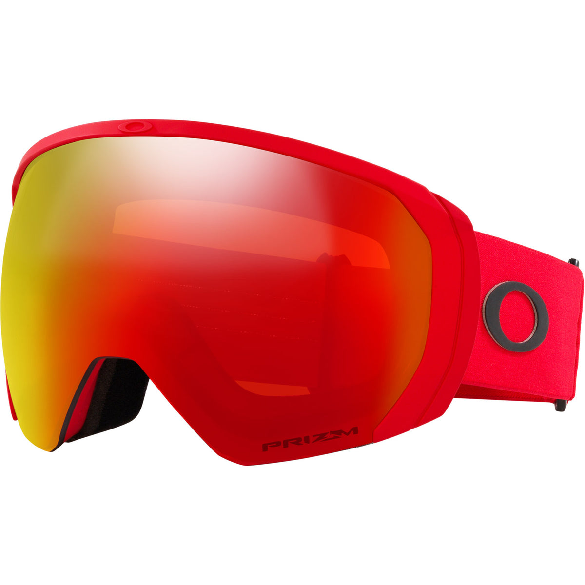 Flight Path L Snow Goggle