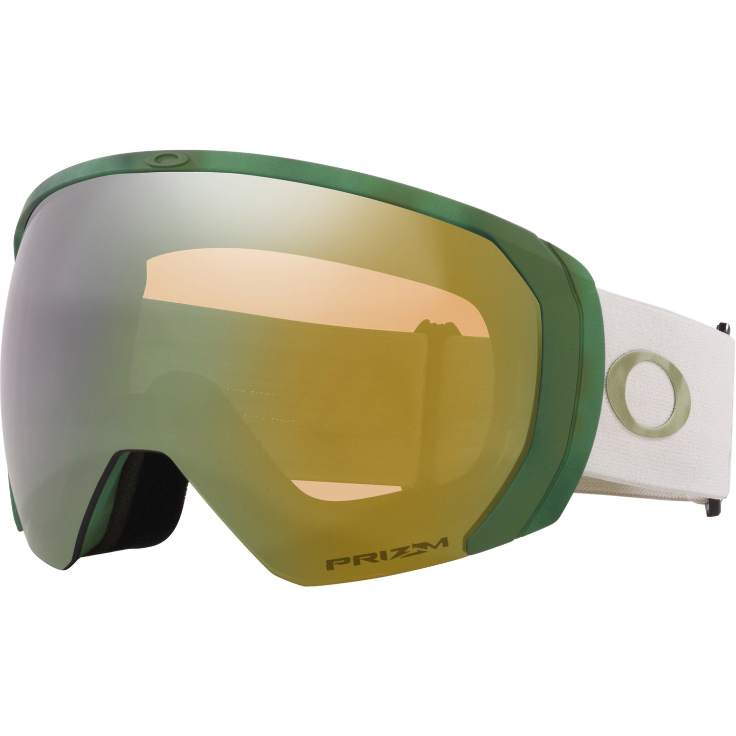 Flight Path L Snow Goggle