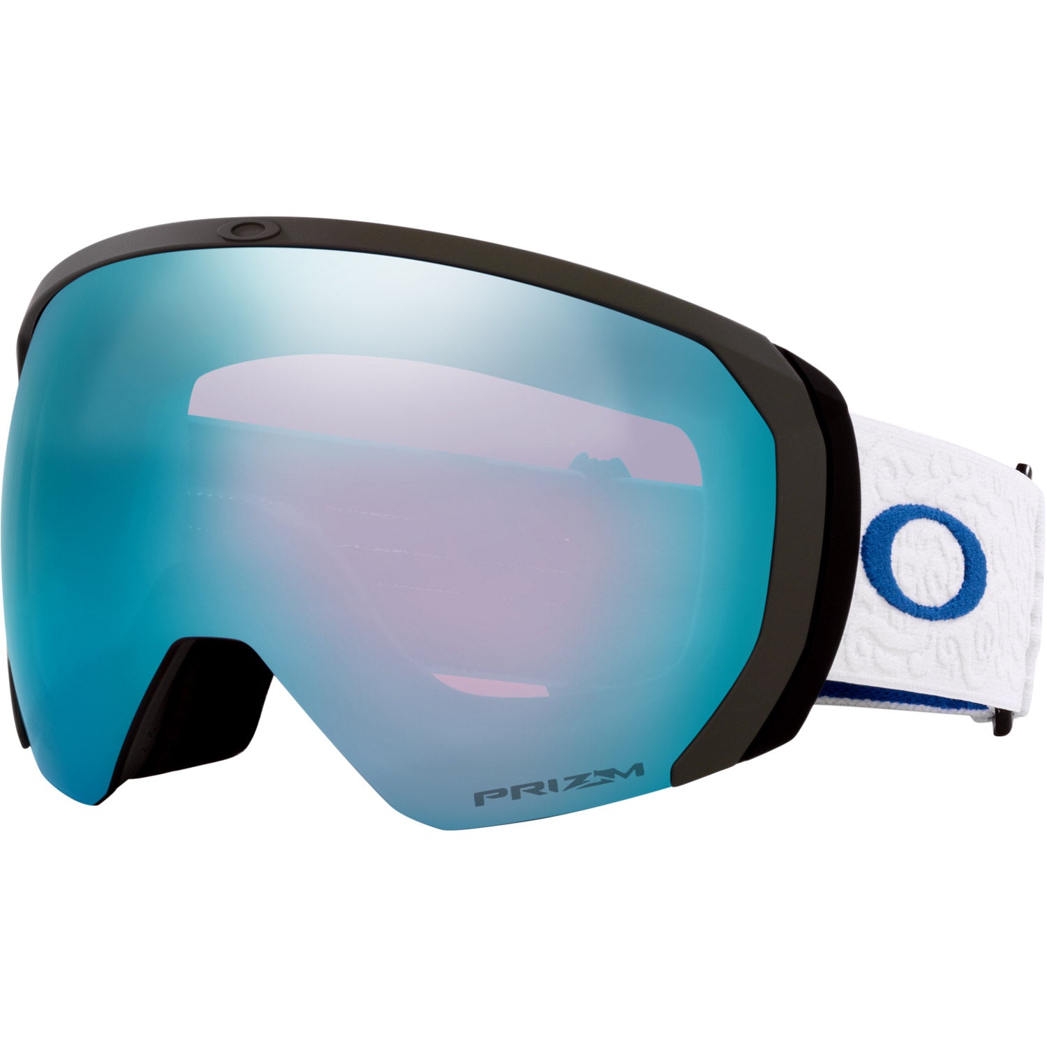 Flight Path L Snow Goggle