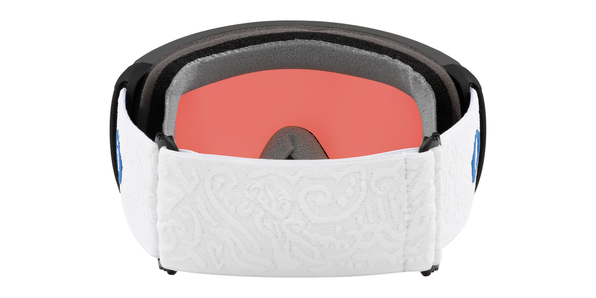 Flight Path L Snow Goggle