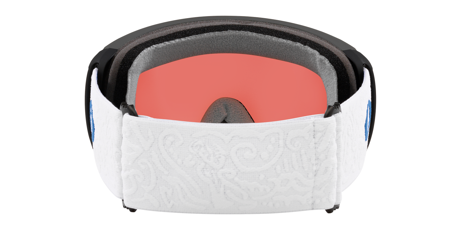 Flight Path L Snow Goggle