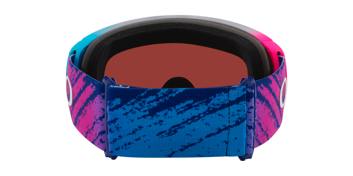 Flight Path L Snow Goggle