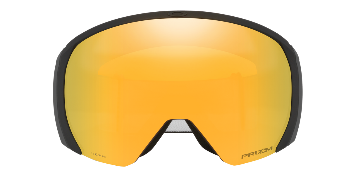 Flight Path L Snow Goggle