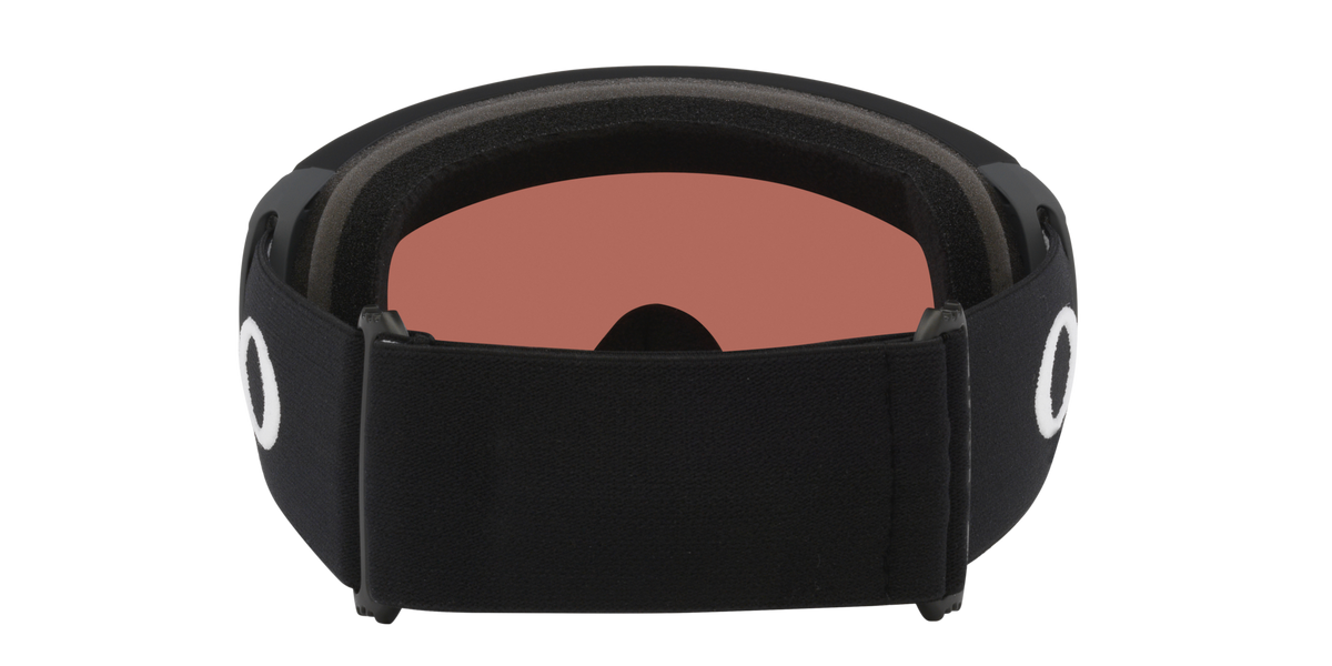 Flight Path L Snow Goggle