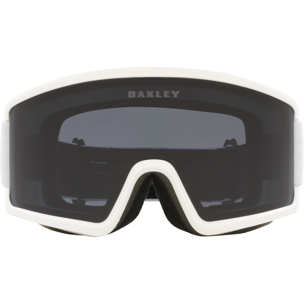 Target Line L Snow Goggle