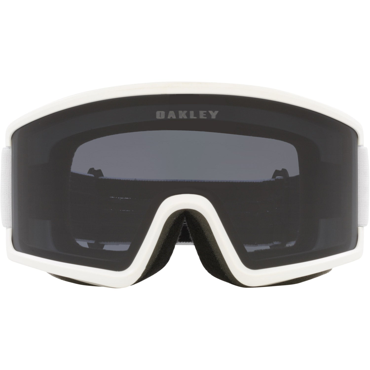 Target Line L Snow Goggle