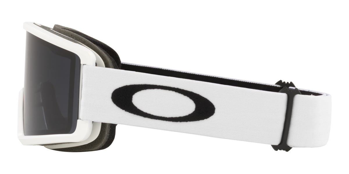 Target Line L Snow Goggle