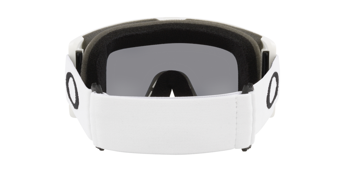 Target Line L Snow Goggle