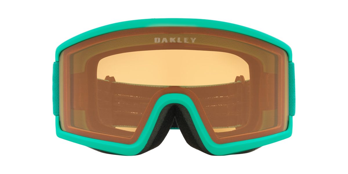Target Line L Snow Goggle