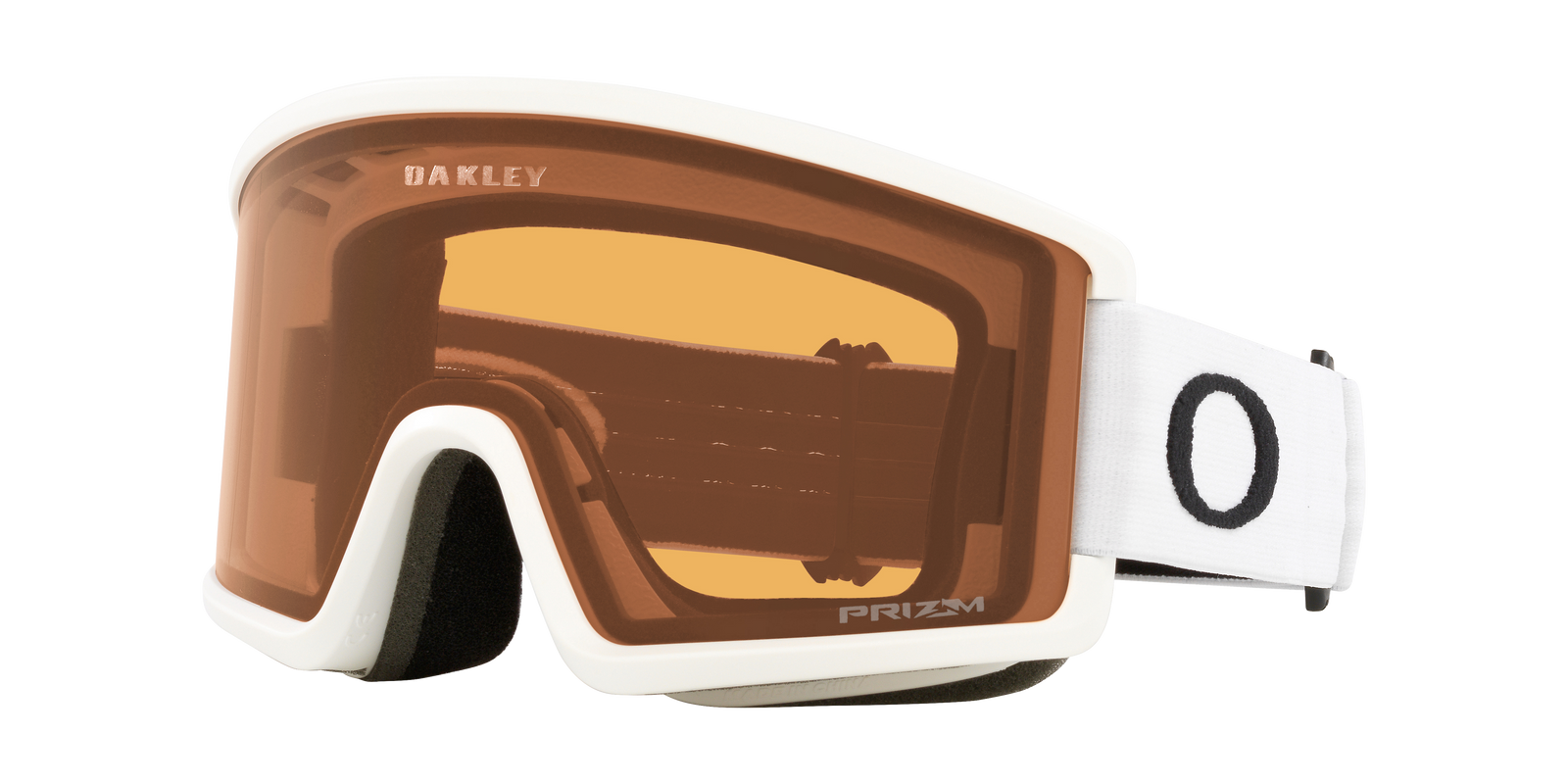 Target Line L Snow Goggle