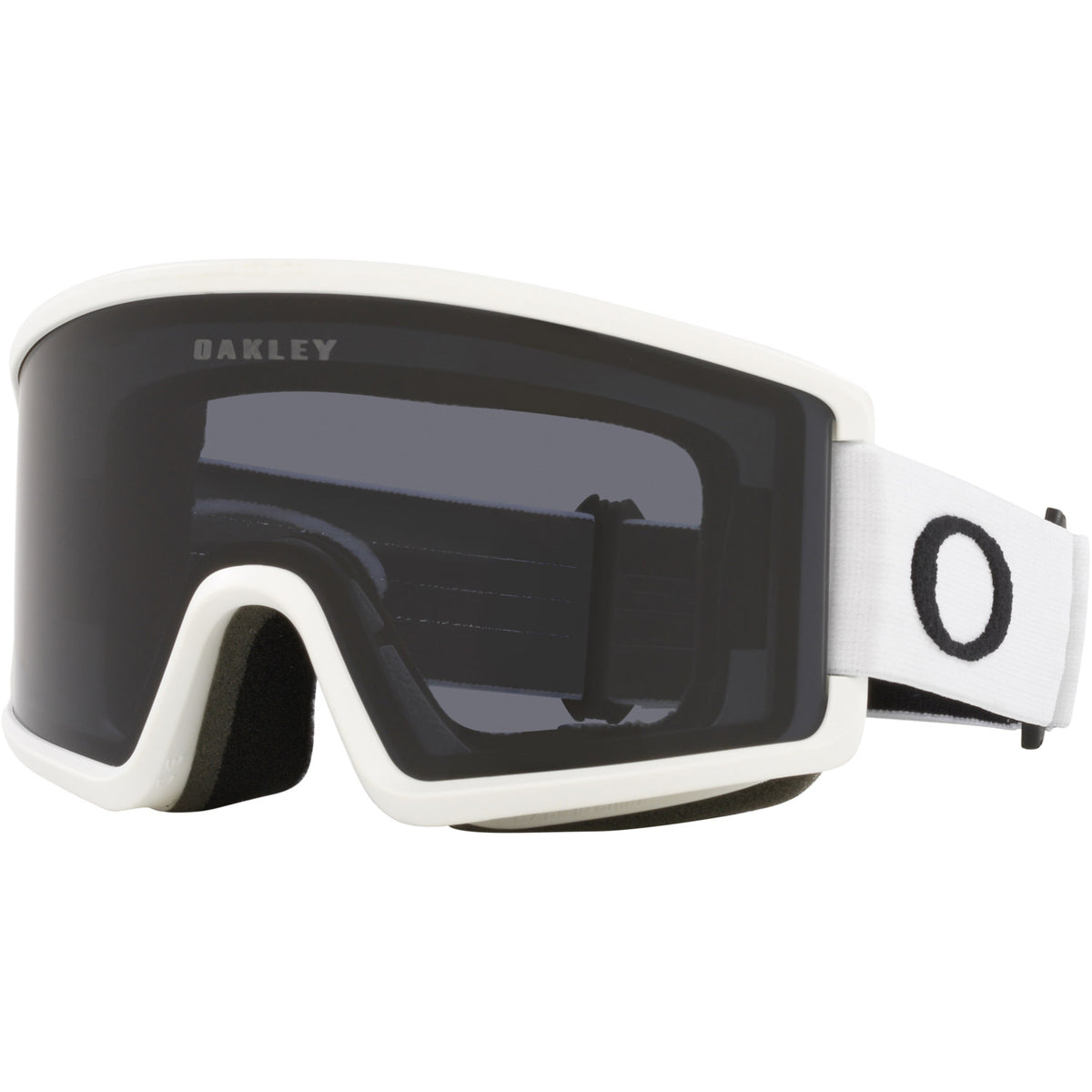 Target Line M Snow Goggle