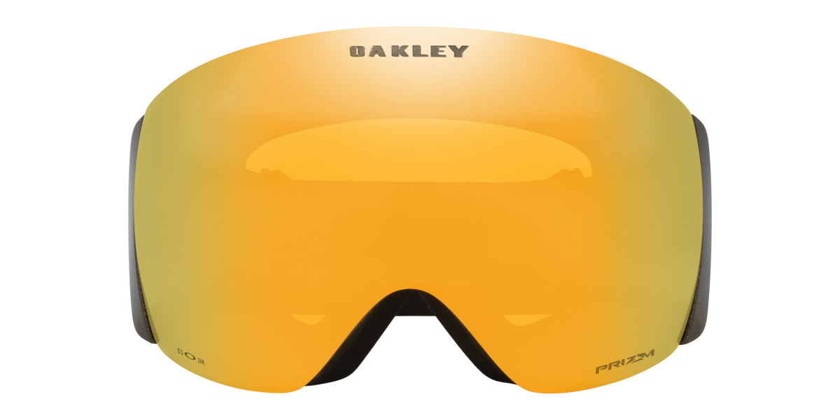 Flight Deck L Pro Snow Goggle