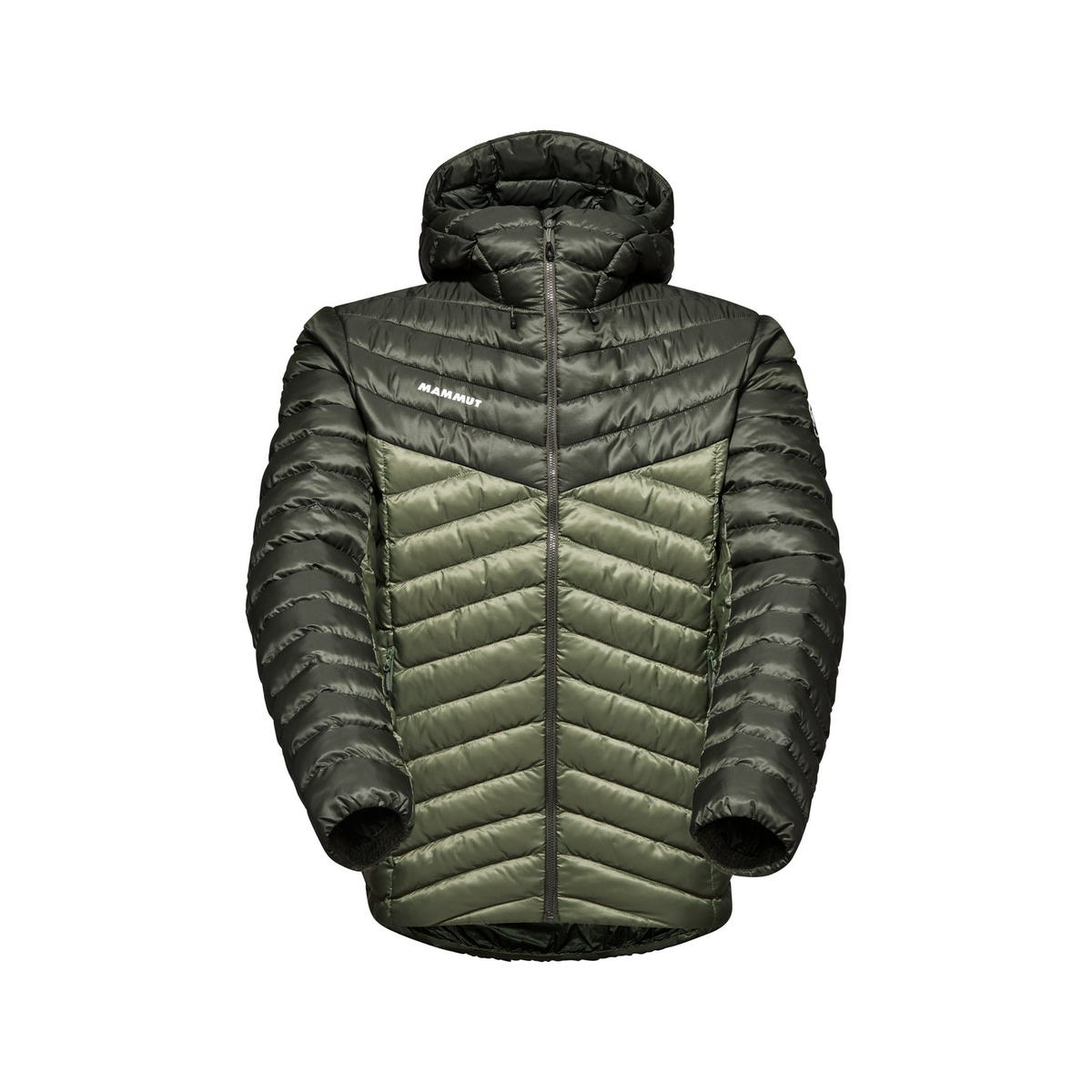 Albula IN Hooded Jacket Men