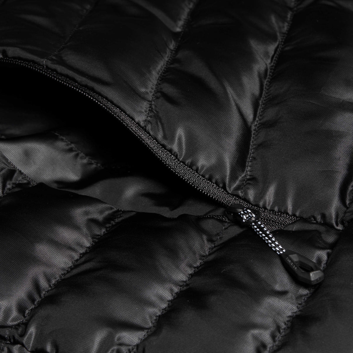 Albula IN Jacket Women