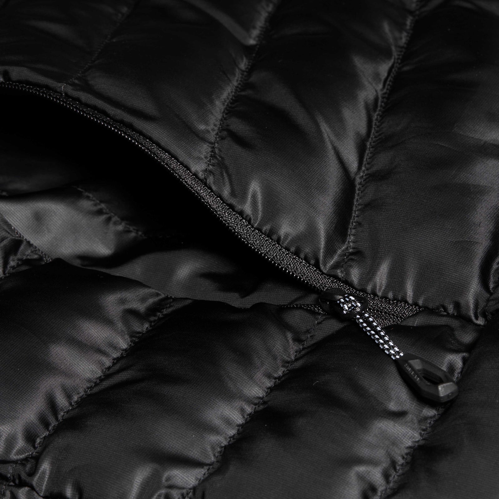 Albula IN Jacket Women