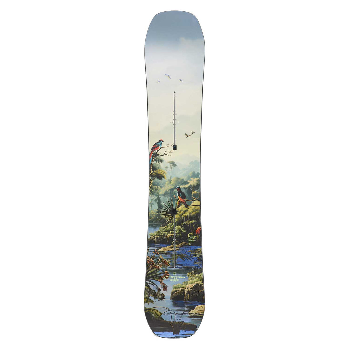 Custom Jungle Camber Snowboard