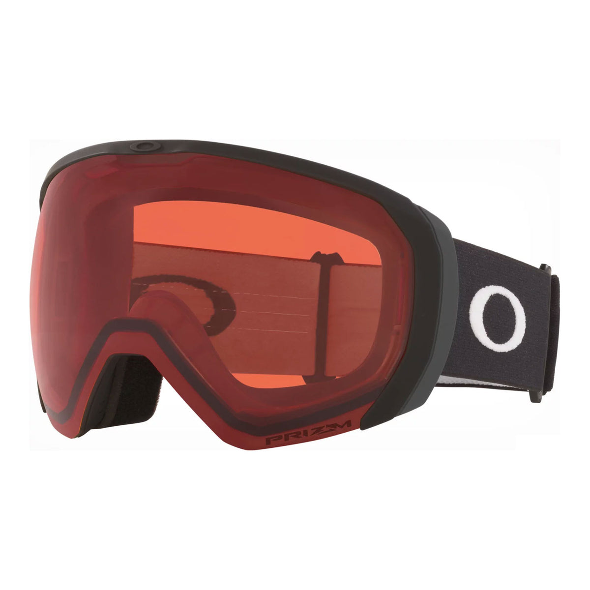 Flight Path L Snow Goggle